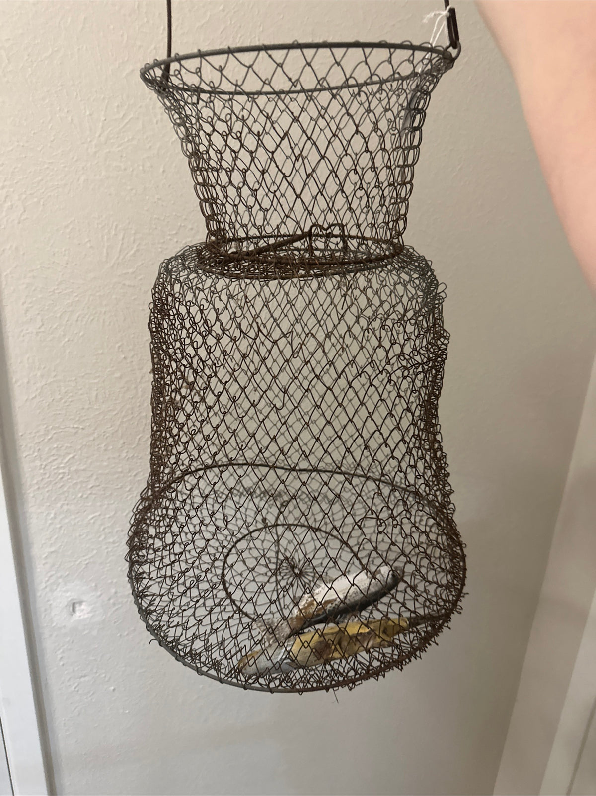 Live fishing bait basket