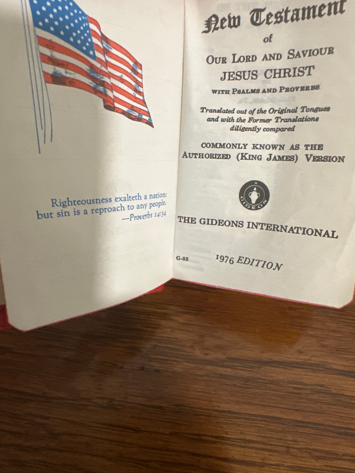Pocket bible , New Testament vintage