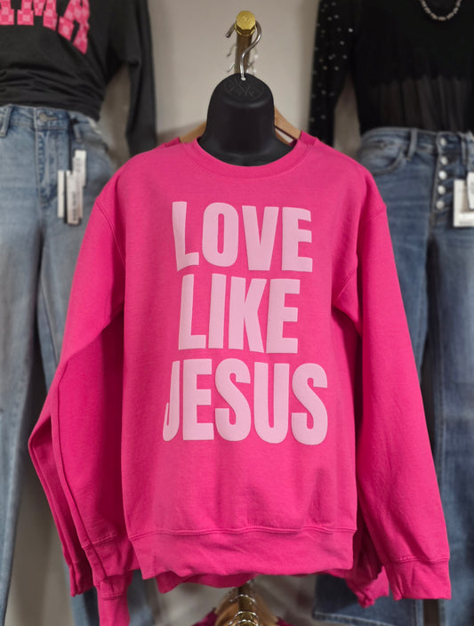 LOVE LIKE Pink on Pink Sweatshirt