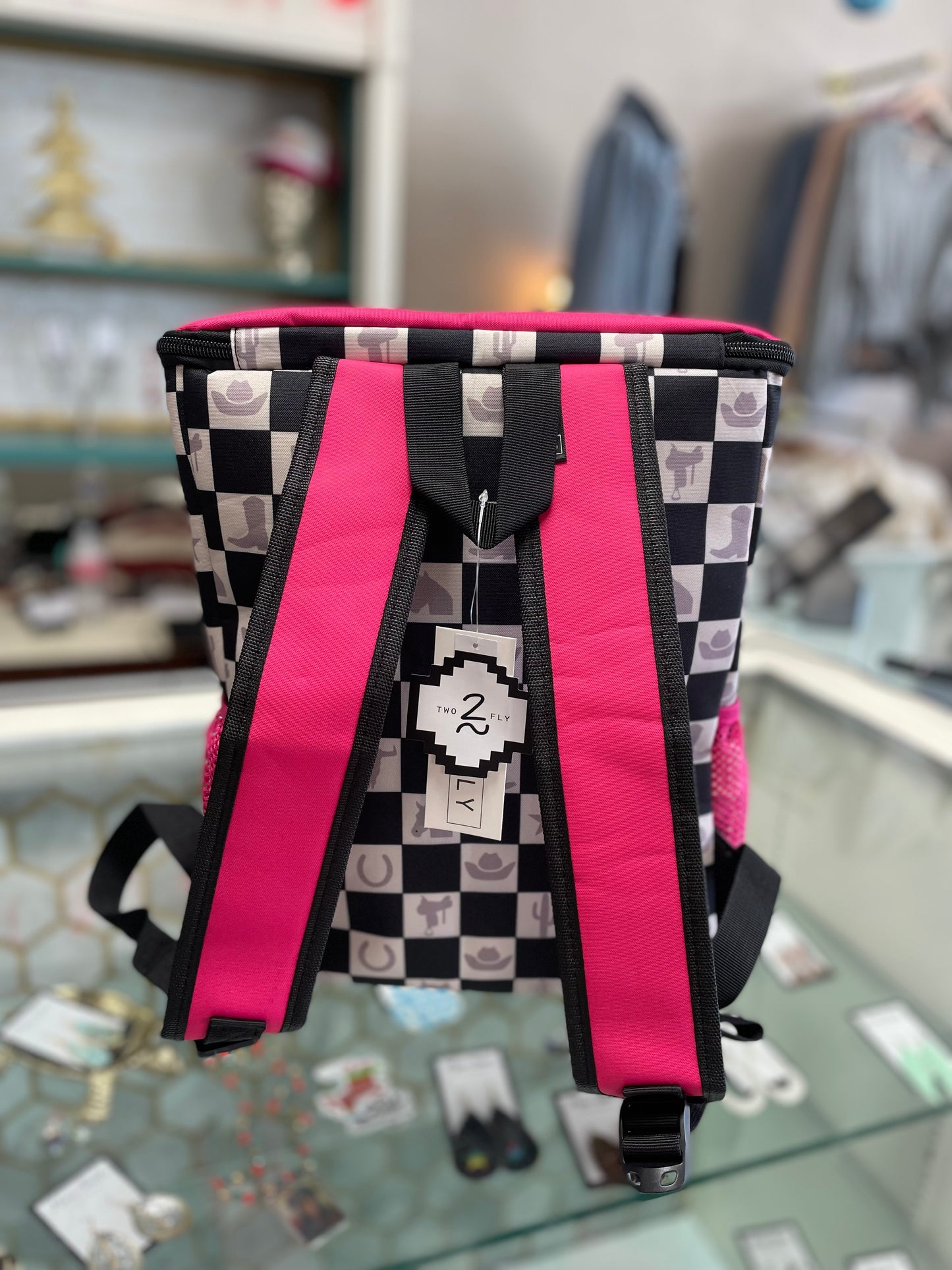 2Fly Backpack Cooler