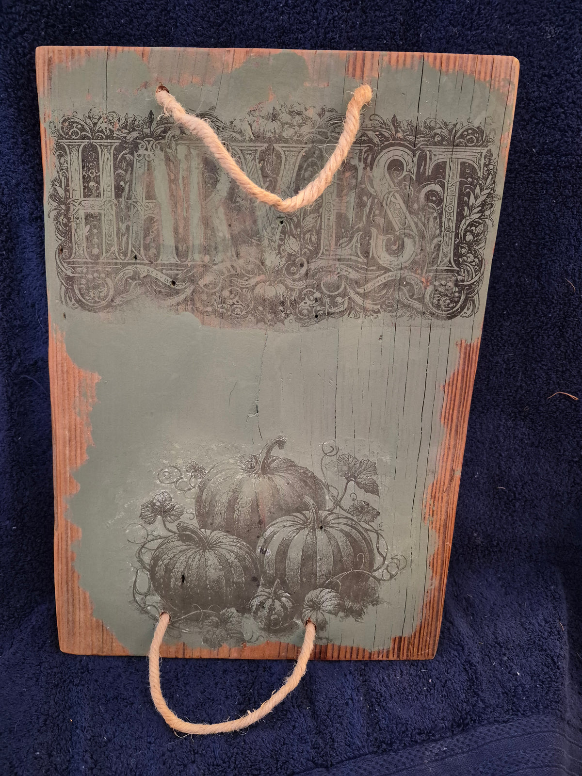 Fall Tray 102303