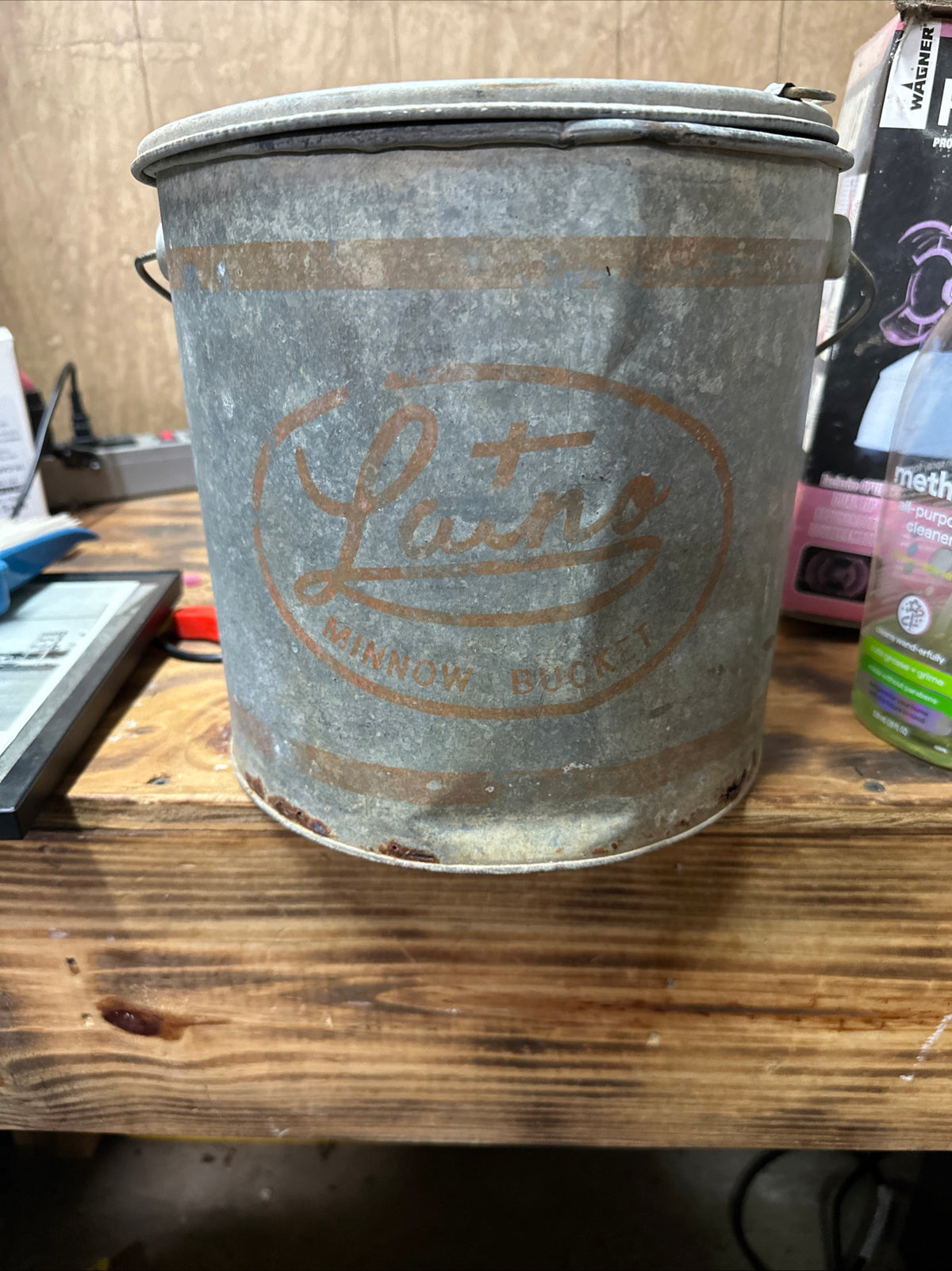 Latno Minnow bucket