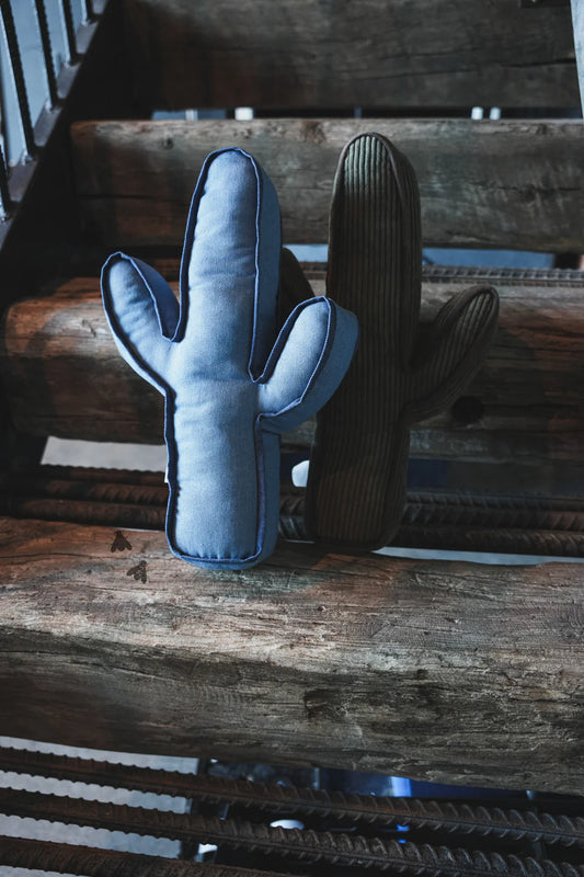 Kick A Cactus *Pillow