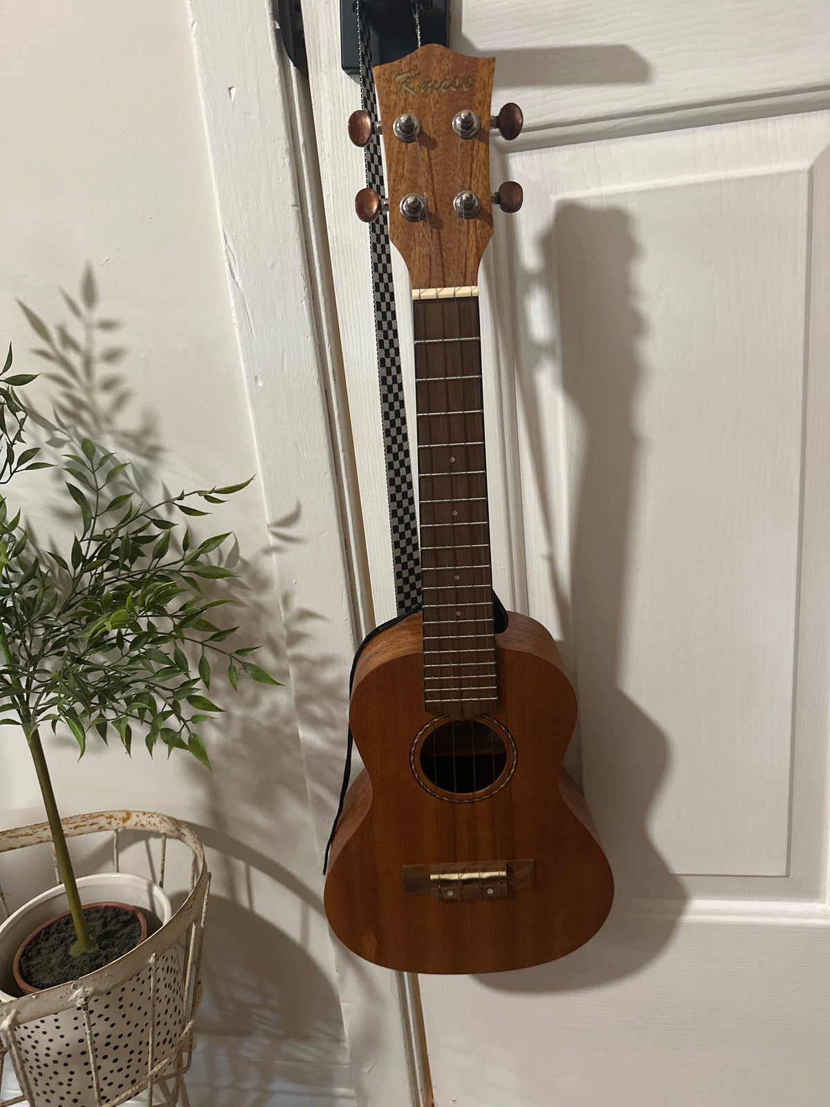 Kmise Ukulele 23” in case.